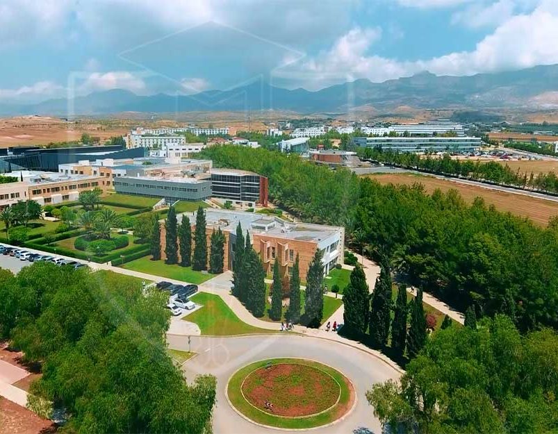 دانشگاه ارکین قبرس
